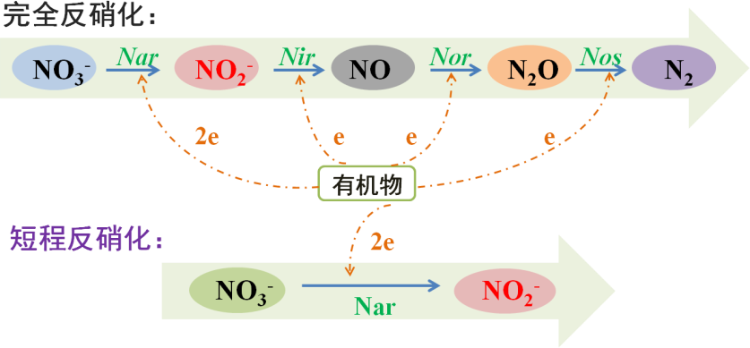 圖片10.png
